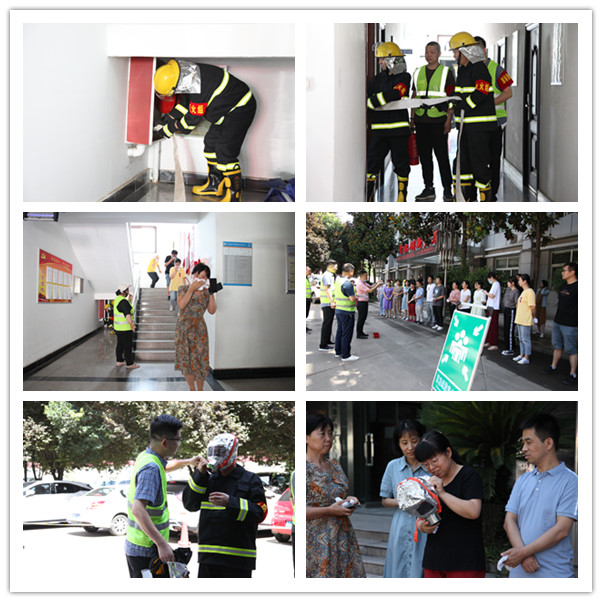 281656398098956422.jpeg 34.jpg